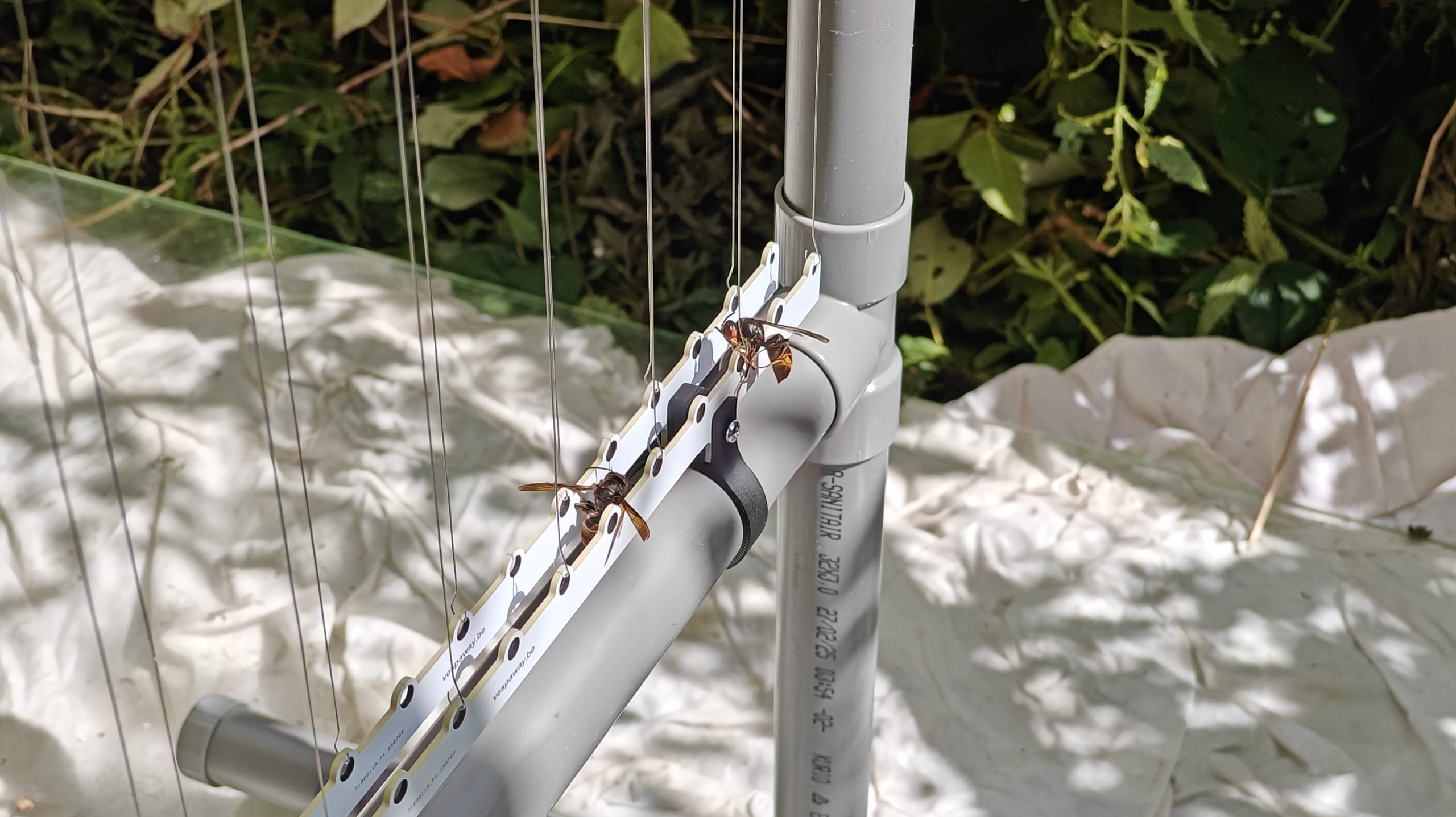 Elektrische harp BeeFence voor een bijenkast