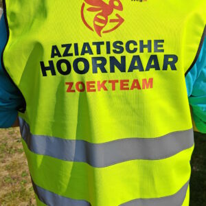 Hesje: Zoekteam Aziatische hoornaar